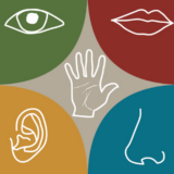 人気ブランド構築のために五感に訴える