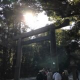 伊勢神宮へ新年のご挨拶に行って、脱皮直後の幻の伊勢海老を食べてきました