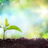 弟子ではなく仲間を集めたい理由