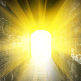 日給1000万円分の幸せを再分配×進化するコミュニティ×アルケミスト×そして新企画へ