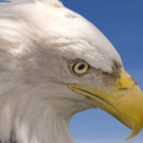 家族や大切な人に胸を張って誇れる生き方とお金の稼ぎ方とは